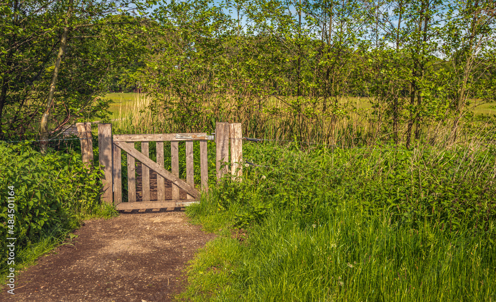 Wooden gate at the end of a sandy path. Surrounding the fence is a lush vegetation of wild plants. The photo was taken at the beginning of the spring season in the Netherlands.