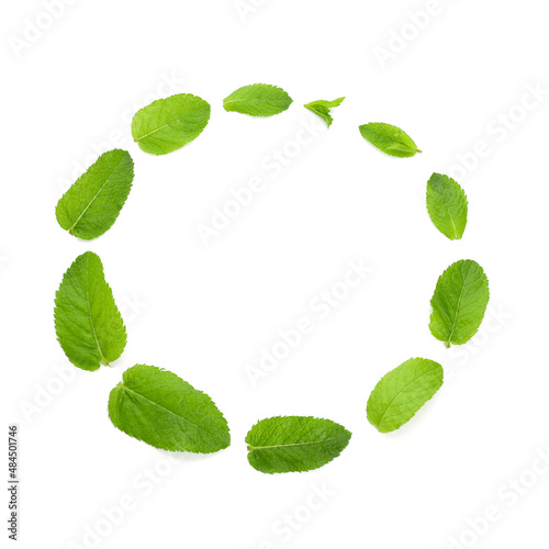 Frame made of mint leaves on white background
