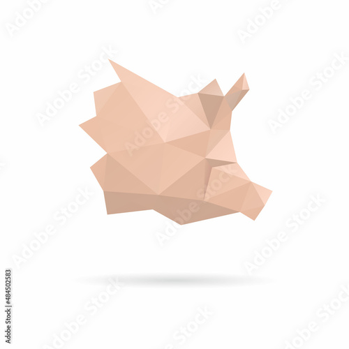 Pig head triangle abstract isolated on a white backgrounds  vector illustration