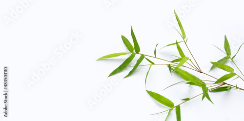 Fototapeta Naklejka Na Ścianę i Meble -  Bamboo leaves on white background.