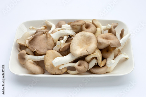 Fresh oyster mushroom in plate on white background.