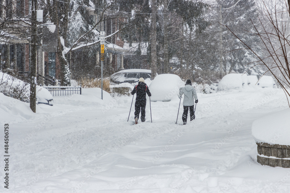 Cross Country Skiing Though the Park Cross Country Skiing Though the Park