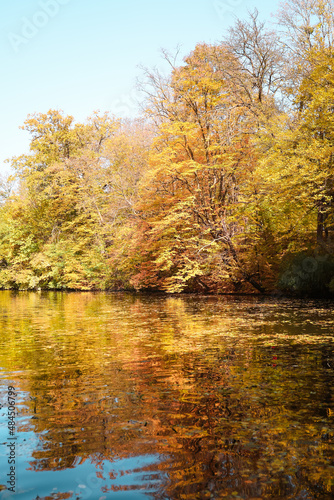 Beautiful lake with autumn trees in park