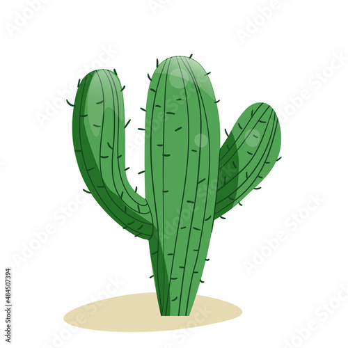 Tall succulent cactus with thorns isolated element. Vector drawing illustration for icon, game, packaging, banner. Wild west, western, cowboy concept