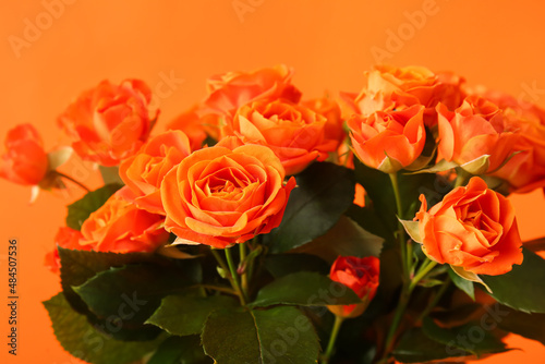 Bouquet of beautiful orange roses on color background
