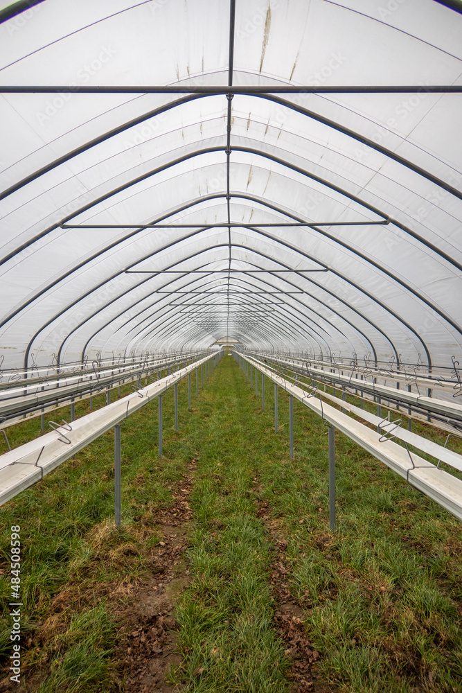 large foil greenhouses are empty in winter