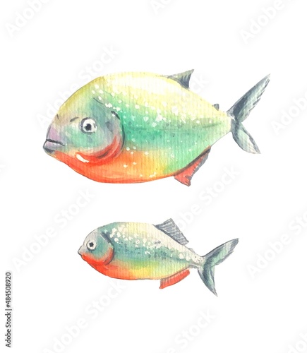 Colorful fish.Watercolor illustration.