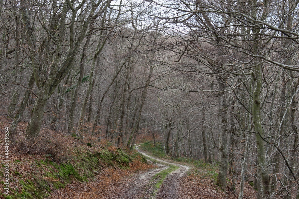 Photo Photo