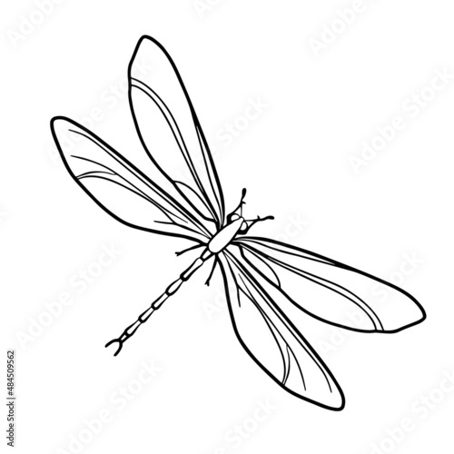 Contour drawing of a dragonfly on a white background. Doodle style. A design element.