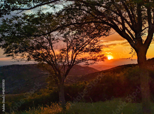 sunrise in the forest