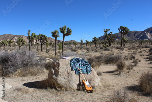 Joshua Tree Guitar