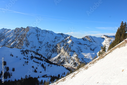 snow covered mountains