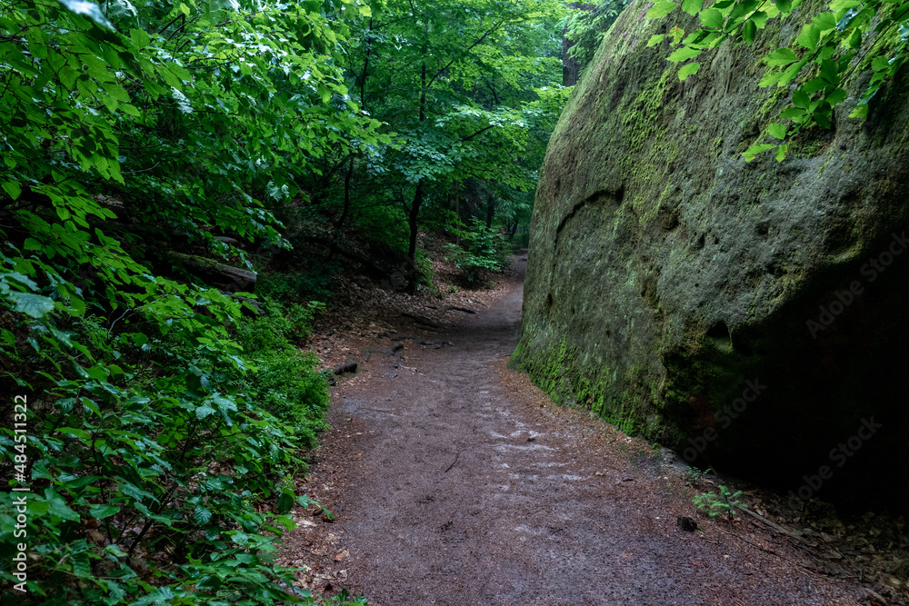 Forest trails in the foothills of the Elbe Sandstone Mountains. Saxony Switzerland. Germany Forest trails in the foothills of the Elbe Sandstone Mountains. Saxony Switzerland. Germany