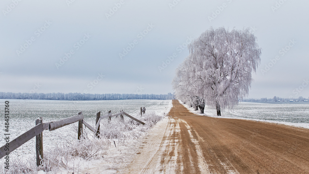 Maple and birch trees alley in frost. Winter rural dirt road. Overcast dramatic cloudy sky. Snow covered field landscape