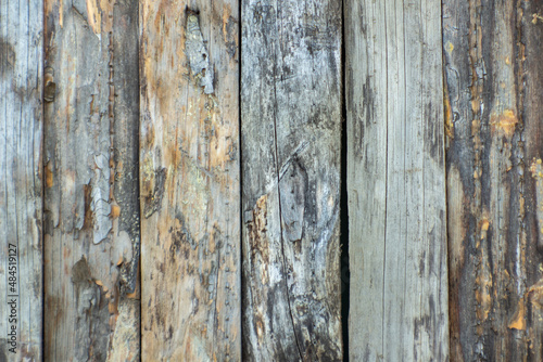 Wood texture background. background wood texture, old wood texture for background den or for business design. top view. Wood plank texture.