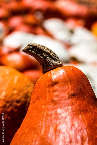 close up of fruit