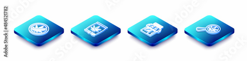 Set Isometric line Stop marijuana, Marijuana or cannabis seeds, and store and Magnifying glass icon. Vector