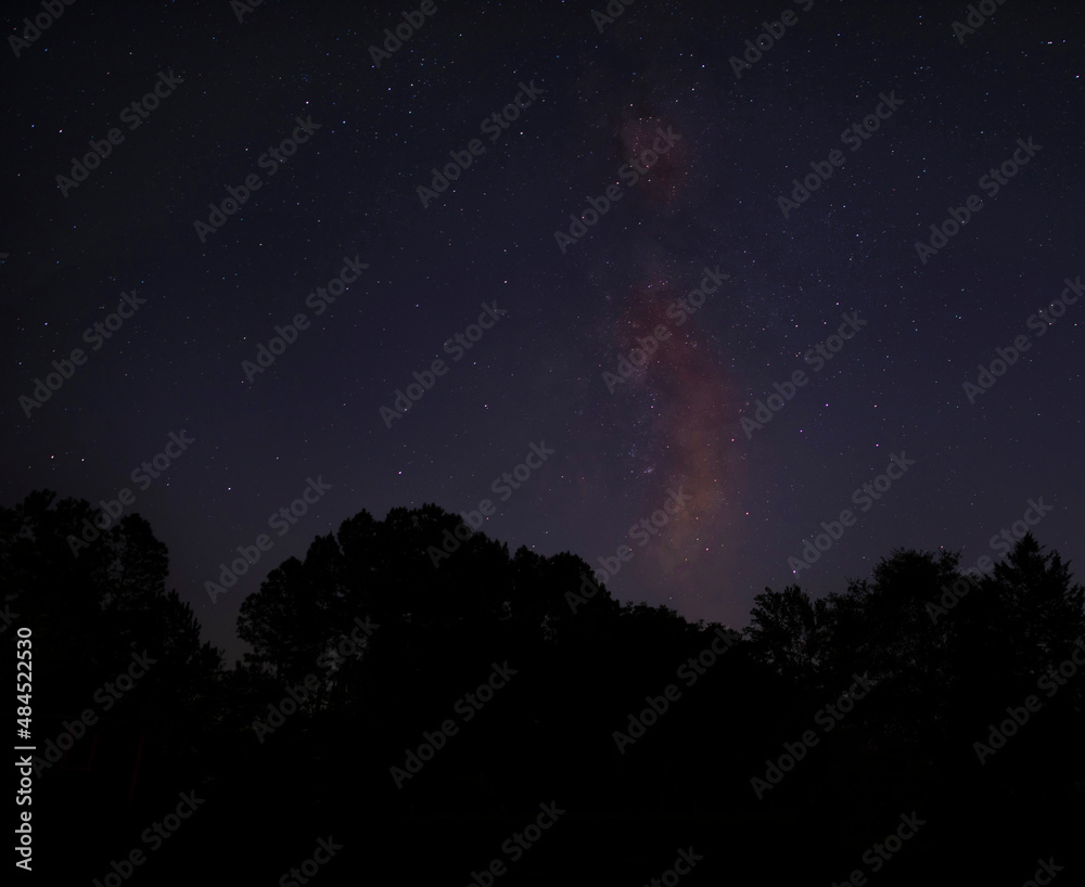 Milky Way rising in North Carolina above a forest