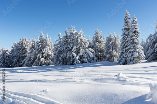 Aerial Winter view of Vitosha Mountain  Bulgaria