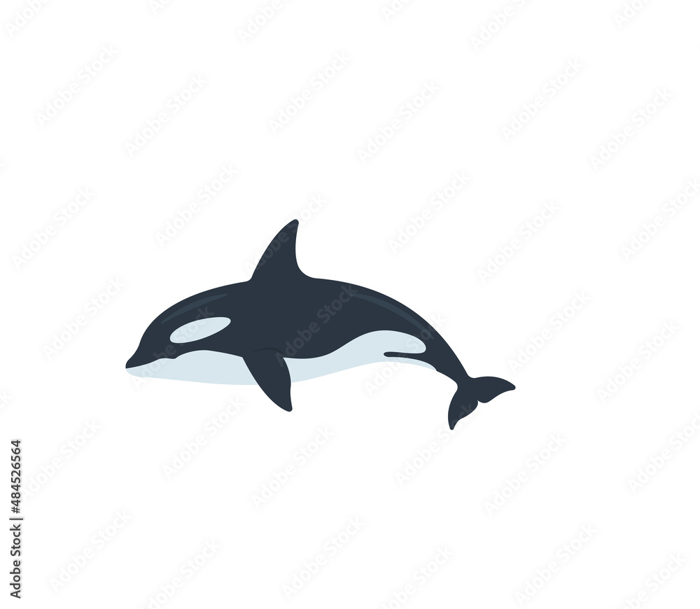 Obraz premium Killer whale vector isolated icon. Emoji illustration. Orca vector emoticon