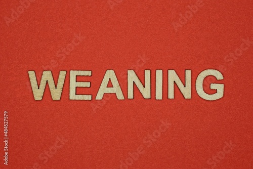 text the word weaning from gray wooden small letters on an red table