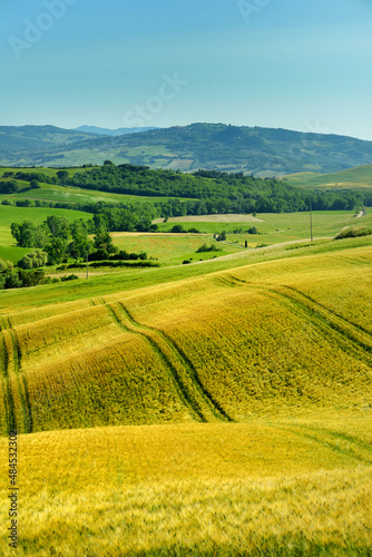 Stunning view of fields and farmlands with small villages on the horizon. Summer rural landscape of rolling hills, curved roads and cypresses of Tuscany, Italy.