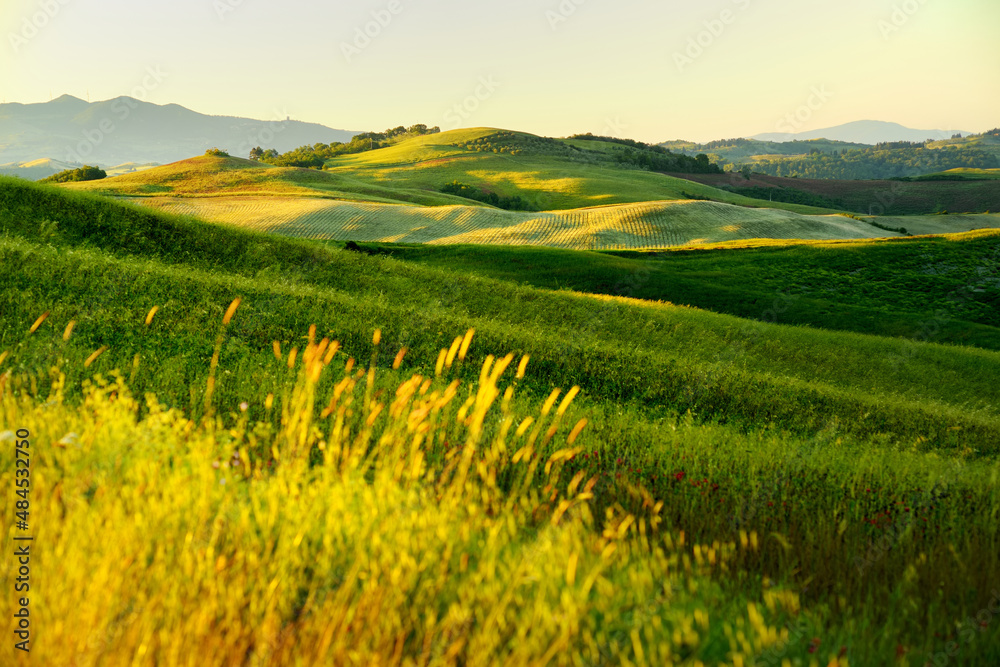 Stunning morning view of fields and farmlands with small villages on the horizon. Rural landscape of rolling hills, curved roads and cypresses of Tuscany, Italy.