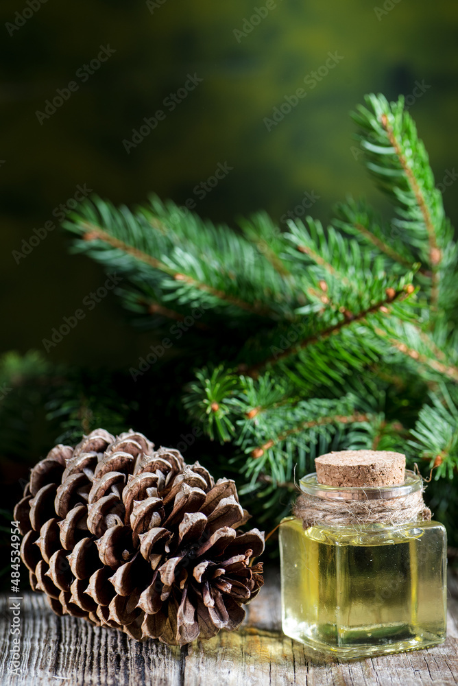 Fototapeta premium Cedar and spruce essential oil in small glass bottle on wooden background.
