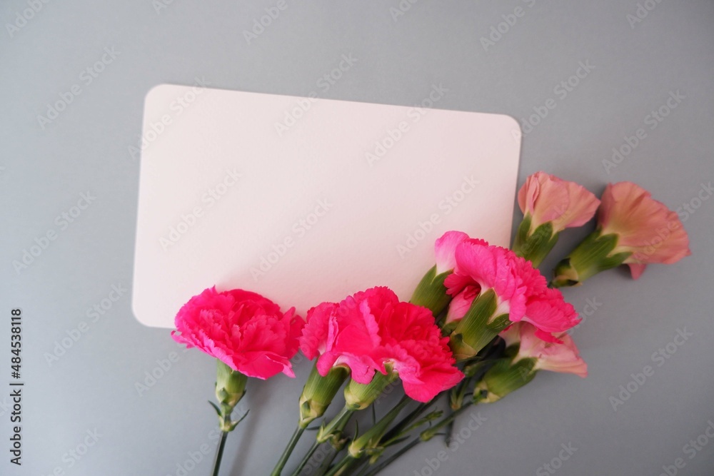 Spring greeting concept. A blank card and pink Carnation decoration on pale green background. Mother's day, Women' s day, Birthday and Father's day concept flower composition. Spring greeting concept. A blank card and pink Carnation decoration on pale green background. Mother's day, Women' s day, Birthday and Father's day concept flower composition.