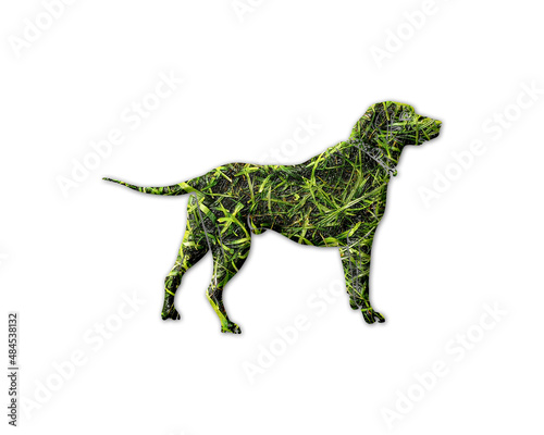 Dog Pet Animal Grass green Logo icon illustration