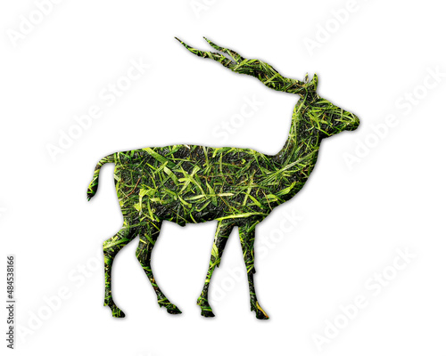 Antler moose Grass green Logo icon illustration