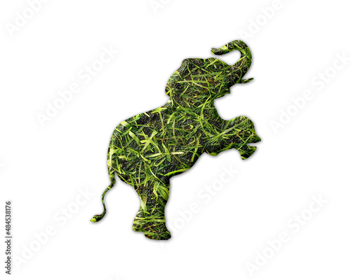 Elephant Animal Grass green Logo icon illustration © SunFrot