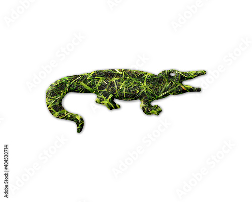 Crocodile Alligator Grass green Logo icon illustration © SunFrot