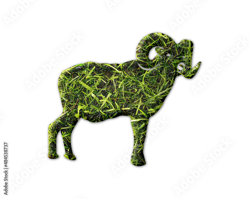 Fototapeta Naklejka Na Ścianę i Meble -  Sheep lamb Ram Grass green Logo icon illustration