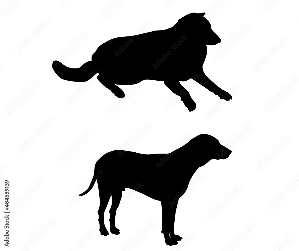 illustration. dog and bitch silhouette, adult, black color, white background and copy space. Asia.