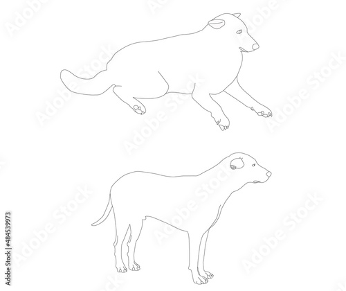 Adult dogs stand and females sleep. Black line drawing for coloring. white background and copy space