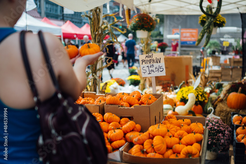 Photography Woman choosing pumpkins at a farmer's market in NYC