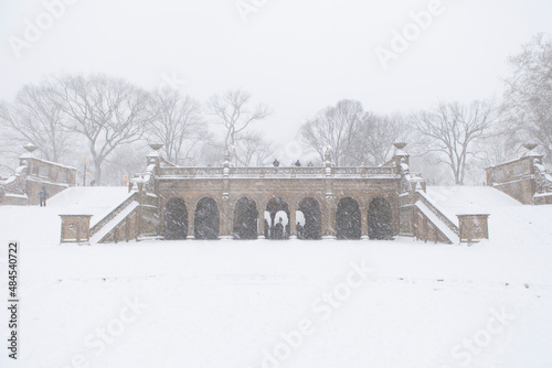 Central Park Winter