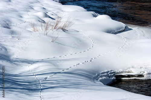 Yampa River in winter;  Steamboat Springs, Colorado photo