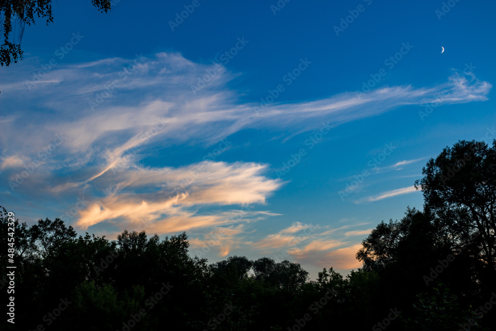 Fototapeta premium White cirrus clouds on a blue sky background