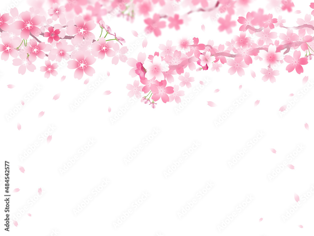 和風の桜の花