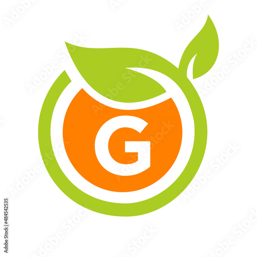 Eco Logo Design Letter G Vector. Eco Leaf Logo Icon Design Template On G Letter Concept