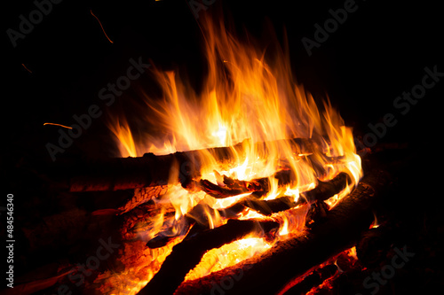 Autumn night campfire  blurred orange fire flames in the dark  burning birch wood  red shining coals