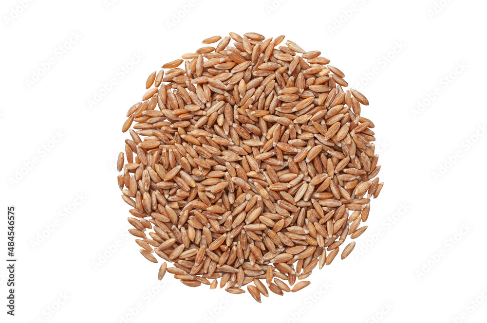 Spelled seeds. View from above. White background. Isolated. Spelled seeds. View from above. White background. Isolated.