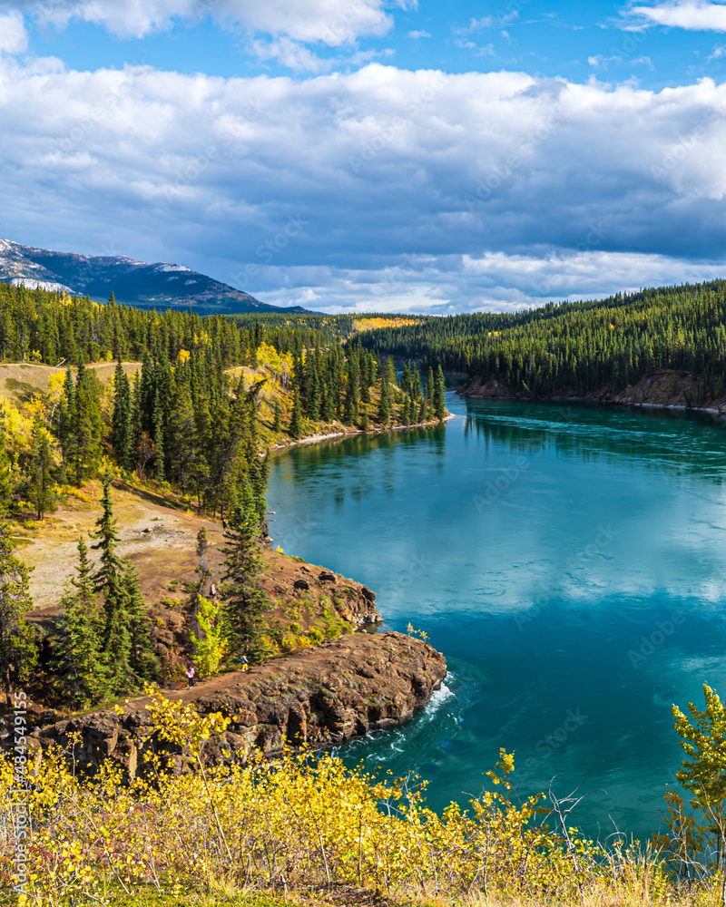 Portrait view of Miles Canyon in Whitehorse, Canada during September in fall with yellow colored trees. Amazing turquoise water flowing along Yukon River. 