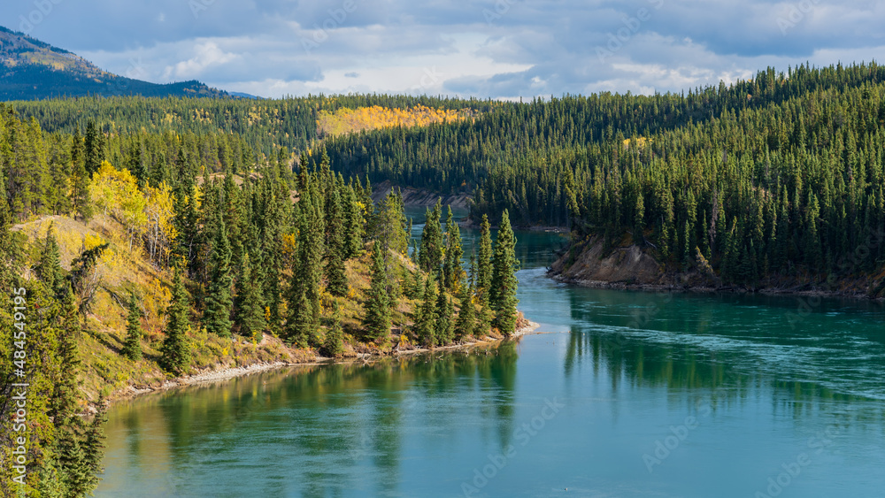 Stunning Miles Canyon in northern Canada, Whitehorse with turquoise, running Yukon River in September with yellow boreal forest. 