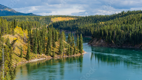 Stunning Miles Canyon in northern Canada, Whitehorse with turquoise, running Yukon River in September with yellow boreal forest. 