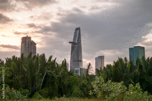 Picture of skyscrapers at sunset in the park with green grass and trees. View in metropolis with modern buildings. High quality photo