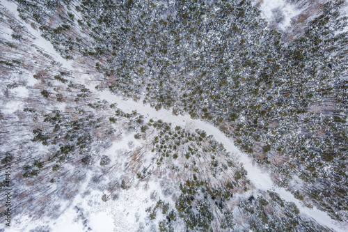 Aerial view of the road in the winter forest with high pine or spruce trees covered by snow. Driving in winter.