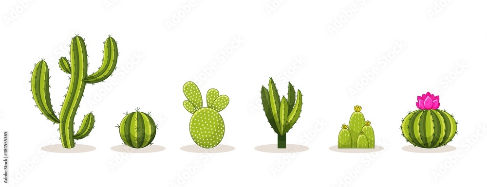 Set of Cacti with thorns and flowers. Mexican green plant cactus with spines. Element of the desert and southern landscape. Cartoon flat vector illustration. Isolated on white background Set of Cacti with thorns and flowers. Mexican green plant cactus with spines. Element of the desert and southern landscape. Cartoon flat vector illustration. Isolated on white background